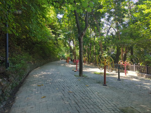 2025.10.05－阿罩霧山、中心瓏步道2908066