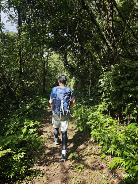 2025-0929 鹿堀坪古道2899429