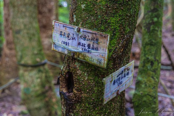 谷關七雄_屋我尾山2977006