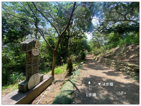 十二分埔山、大嶺巷步道 (彰化、花壇)3058173