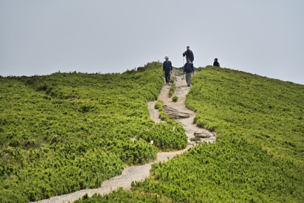 爬不膩的 合歡北峰2907025