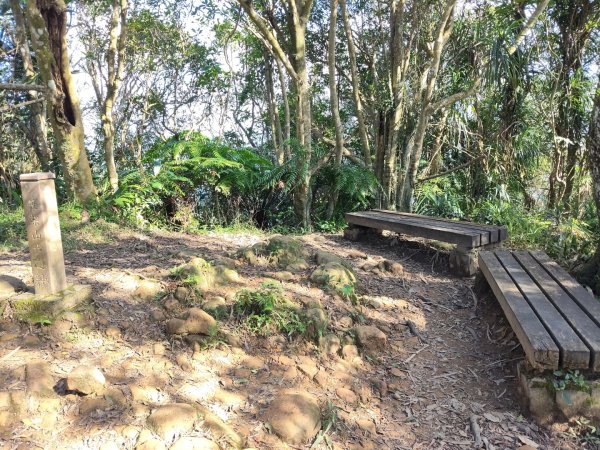 微笑山線：【二格山系】筆架連峰段2963192