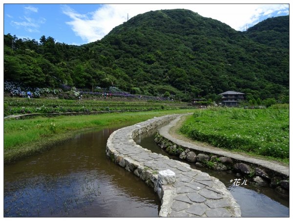 竹子湖/頂湖環狀步道986715