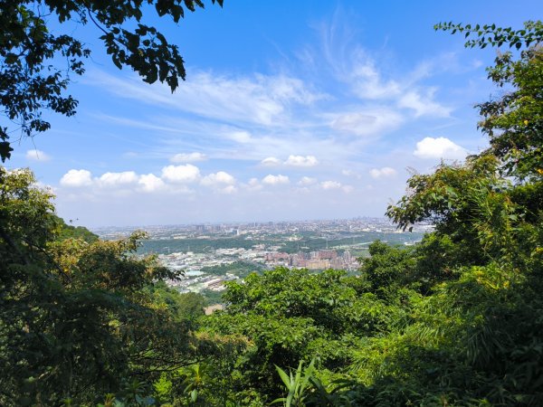 20250824鳶山彩壁2868534