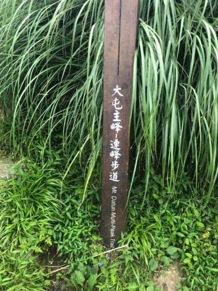 大屯主峰南峰20190727637363