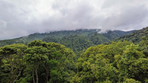 拉拉山森林遊樂區2510693