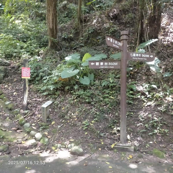 皮皮：六寮古道+獅山古道2838690