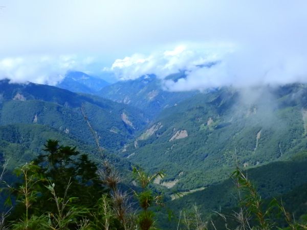 玉山西北主174540