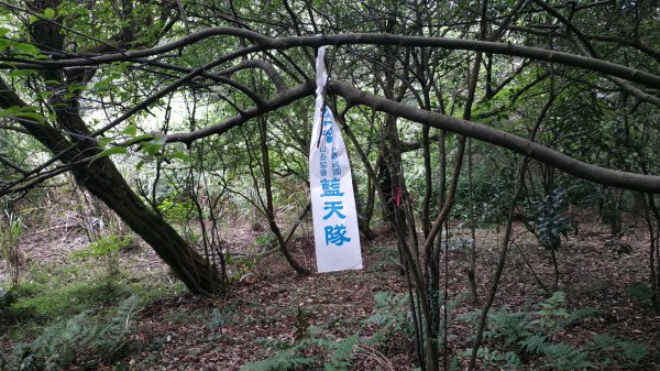 【新北市/萬里區/磺山-焿子坪】秀峰坪至186礦務課-焿子坪山.新徑重啟.全段串接完成2382388