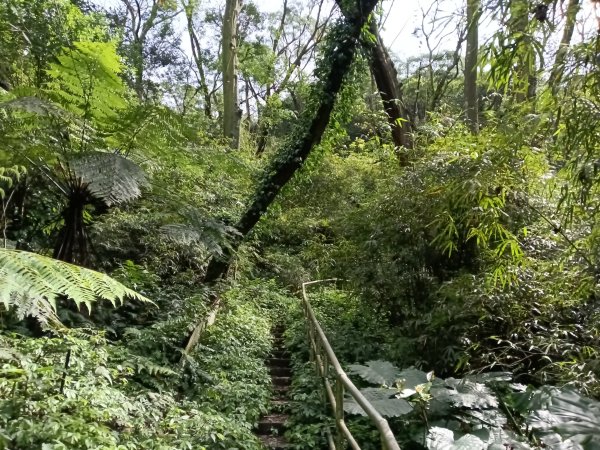 基隆市三角洲嶺北峰+獅球嶺+獅球嶺北峰+西砲台山+紅龍山+蚵殼港山+碉堡峰3018837