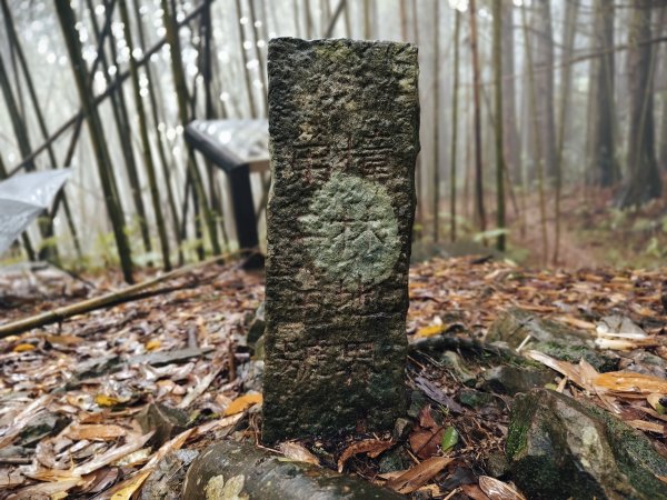 2025/05/11-丸田砲台遺址步道2784562