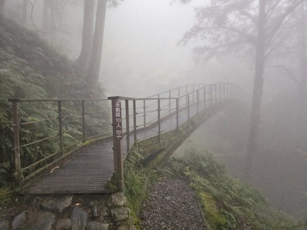 見晴懷古步道-(宜蘭)臺灣百大必訪步道2827761