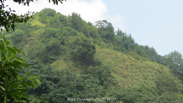 《南投》峰峰相連｜草屯九九峰森林步道O型202509062879304