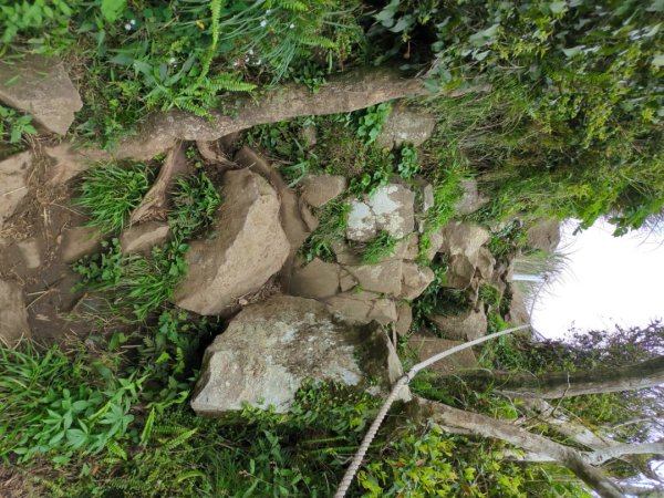 第二段：二子坪→小油坑2759590