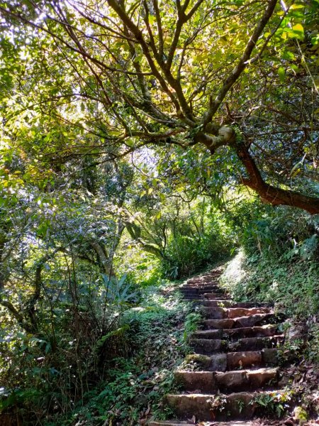 大屯山泥巴滑溜溜914399