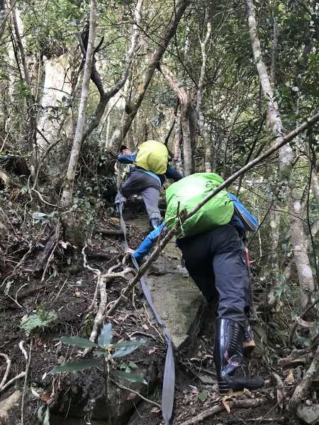 內鳥嘴山→ 那結山→ 外鳥嘴山 O形縱走1261861