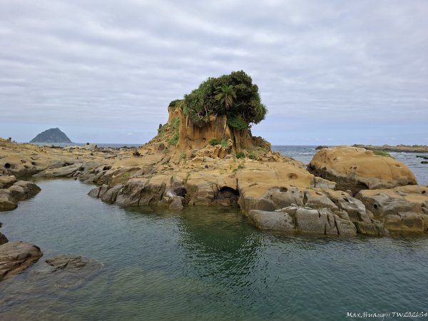 《基隆》奇石黑鳶｜和平島地質公園環山步道O繞202609183121011