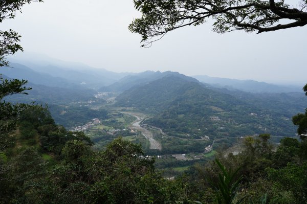 新竹 峨嵋 獅頭山、獅尾山、六寮山、猿山2450077