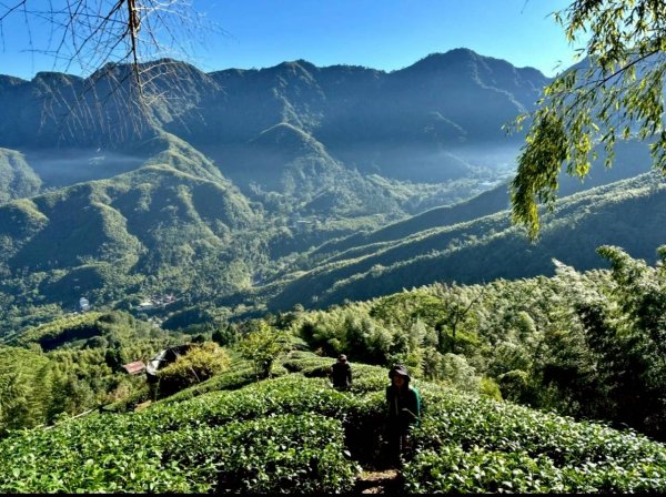 20251117樟空崙步道挑竹古道3號 六連峰O繞2939624