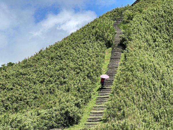 草嶺古道-大溪線-桃源谷-虎字碑-草嶺古道-福隆 202409092591680