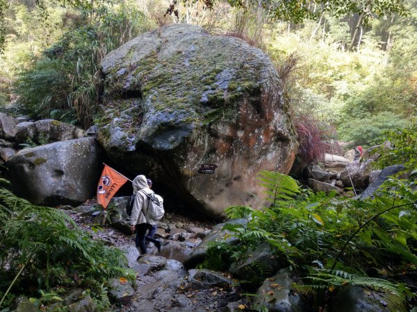 台版富士山「加里山」(小百岳#34) 2020/12/191424791