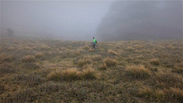 山行漫遊郡大林道上的清水金子郡大三美山1341646