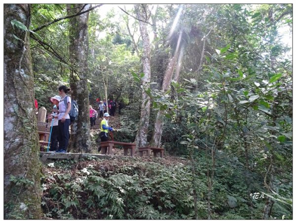 馬那邦山(小百岳)/上湖登山口2427061