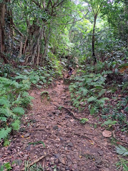 蘭嶼三日遊D2---大天池步道+紅頭森林生態步道+乳頭山步道+情人洞步道202307092217066