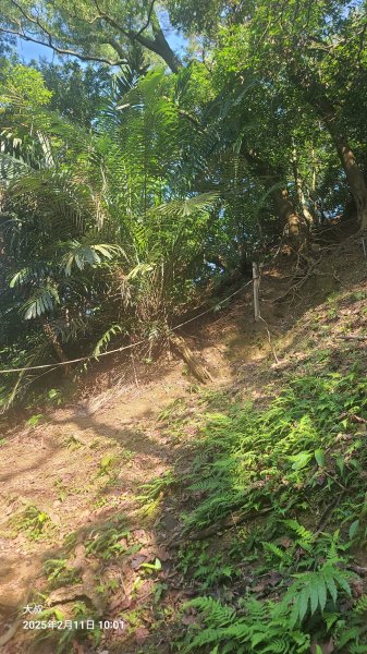 2025-0211造鎮_太極嶺_五城山小段攀爬路線2710726