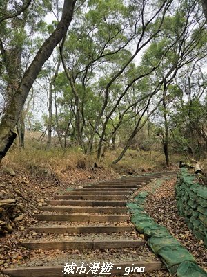 【台中龍井/大肚】竹坑南寮登山步道x瑞井登山步道O繞3031259