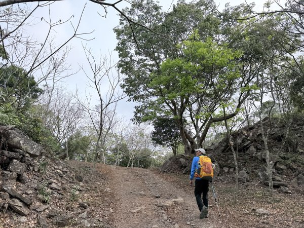 大漢林道登山趣(力里山.具馬奴山.崁頭窩山)  2026.3.283028011