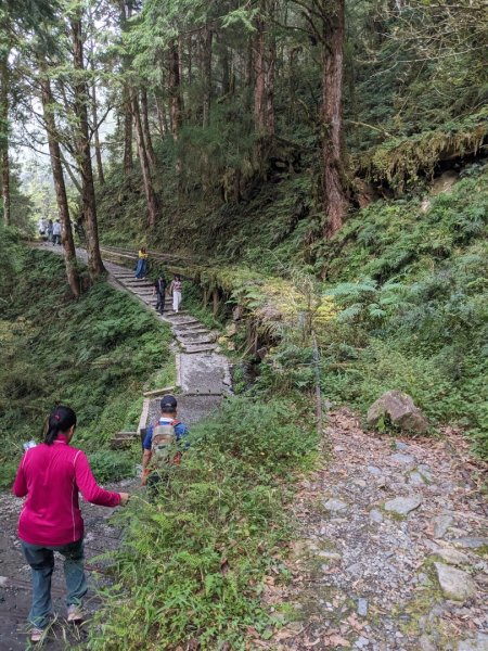 見晴懷古步道3137142