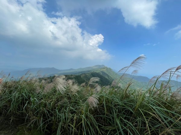 桃源谷步道(大溪線+草嶺古道線)-下大里天公廟1508092