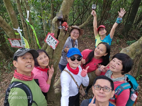 東勢大崙、東勢坑山、觀音湖山O走2986230