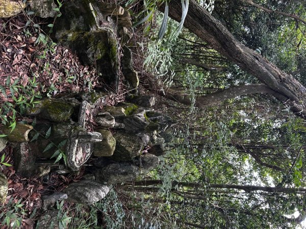 內湖鯉魚山之旅2811731