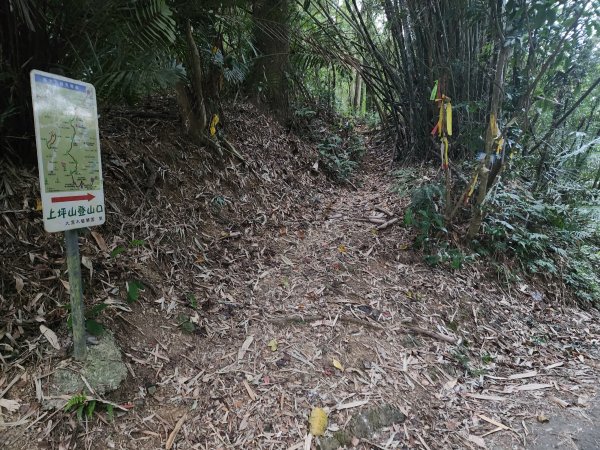 20241208上坪登五指山2683653