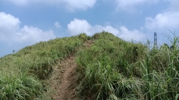 雙溪區不厭亭-牡丹山-金瓜石福德-樹梅坪-不厭亭-金字碑探幽亭-三貂崙-不厭亭8字走3111410