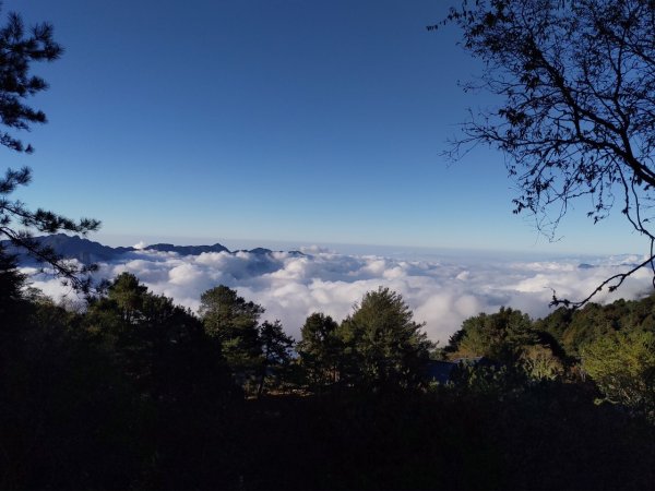 鼓山尖峰泡茶趣---塔塔加鹿林山鹿林前山810161