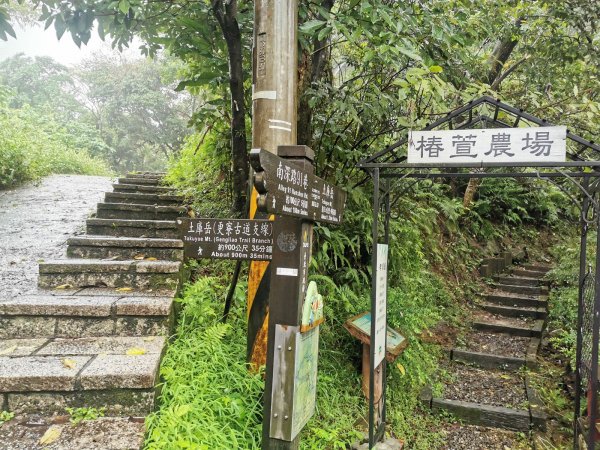 雨中漫步北部山岳-二格山、土庫岳、象山道1136704