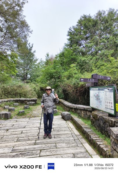 [玉山尋寶任務-05/12] 2025_0823 塔塔加步道(大鐵杉登山步道)2869642