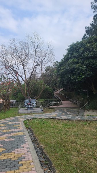 2025-0204 鶯歌_大凍山_三角埔頂山_迴龍2707972