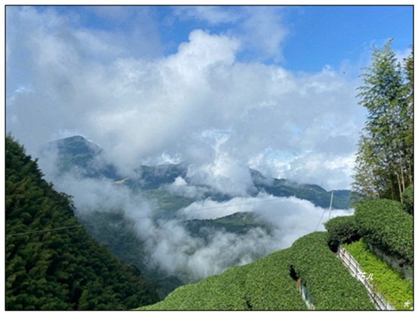 樟空倫山、大崙頭山、貓冬望山、民眾坪山 連走2839029
