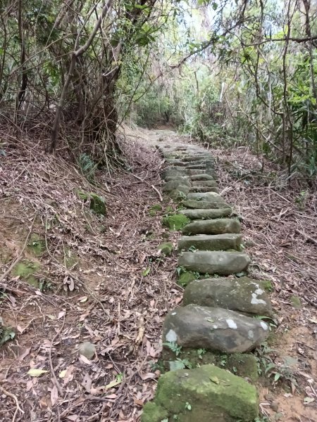 雙溪區三叉港+遠景古道+楊廷理古道+雞母嶺街O型2758666