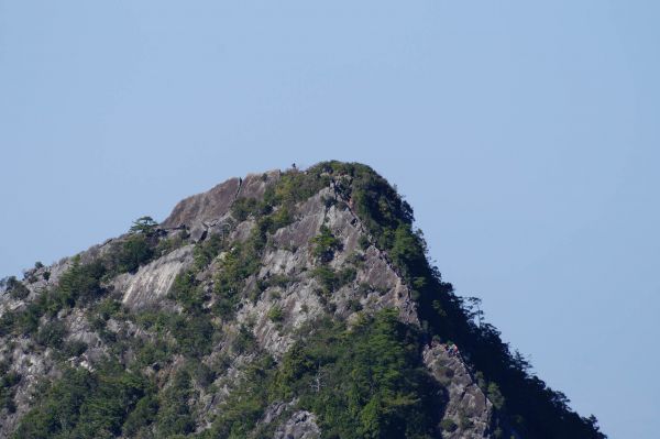 鳶嘴稍來步道(紅榨槭)233259