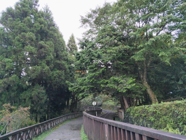 小百岳(59)-大塔山-202209251878806