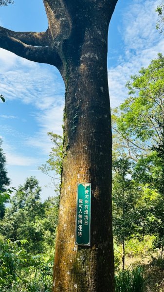 1140419鳴鳳古道2765874