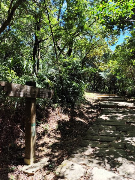 翠山步道、大崙頭尾山親山步道【臺北健走趣】2874332