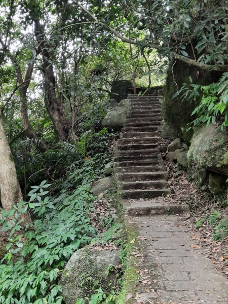 20230722 頂山石梯嶺縱走坪頂古圳，聖人瀑布2227220