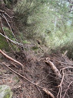 20250524 畢祿山單攻2796495