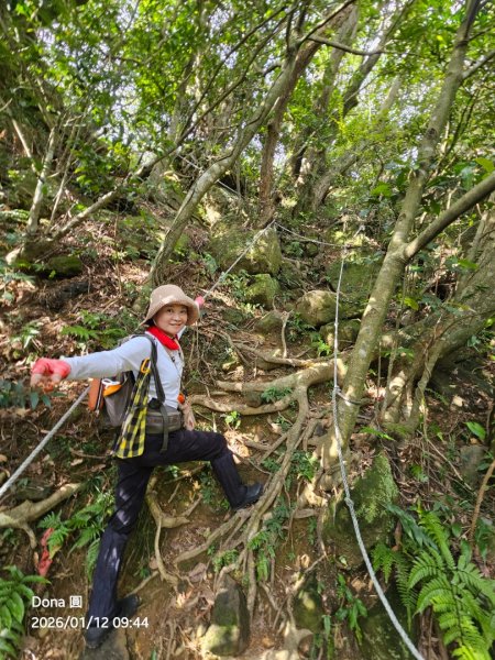 20260112月扇湖山&四分子古道O走+烏塗溪步道2986526